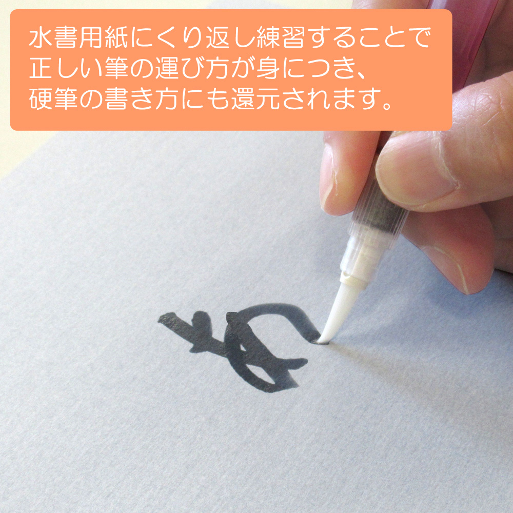 国内在庫】 あかしや 書道用筆 四書 10本セット PL-153-10P 2号 太筆 大筆 毛筆 奈良筆 習字用 書写 書道教室 趣味 中級者 上級者  半紙漢字用 楷書 行書 短鋒 馬毛 山羊毛 狸毛 茶毛 硬め まとめ買い 業務用 教室用 4963095065926 fucoa.cl